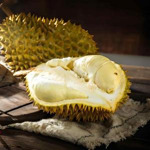 Fresh durian,Dried durian,Thai Golden Pillow Durian,Tomani durian